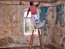 Restauration